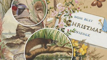 Snakes, platypus and jungle walks - Australia&#x27;s first Christmas cards
