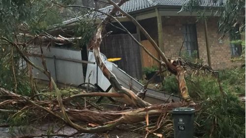Wild winds batter Adelaide, with severe weather warning issued for South Australia's far south