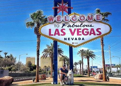 Even glitzy Las Vegas was fine for a man and his dog to enjoy.