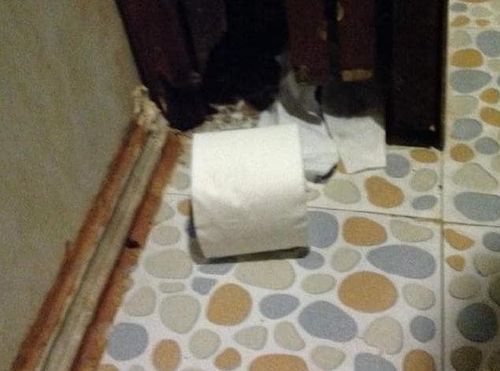 Toilet paper was left on the ground in the bathroom. (Facebook)