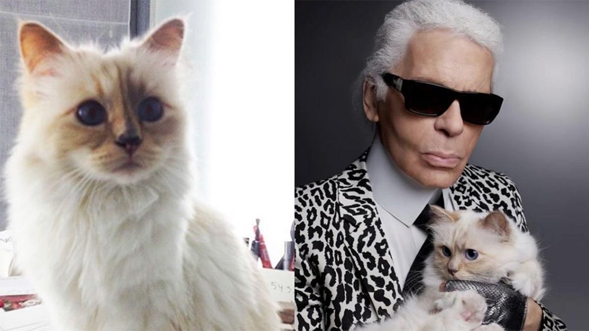 Karl Lagerfeld's Cat Has the New Dyson Hairdryer