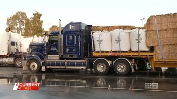Generous convoy transports fodder to drought stricken King Island farmers 
