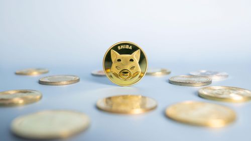 Shiba Inu coin cryptocurrency