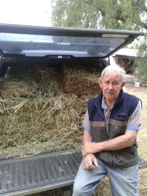 A volunteer ready to feed lucerne hay (seedless hay) to brumbies on private properties outside the park. 