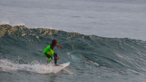 Ten-year-old Eden Hasson rode over a great white shark in NSW. (Facebook/Chris Hasson)