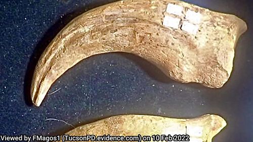 A dinosaur claw valued at $35,053 was stolen at a gem show in Tucson, Arizona, police said.