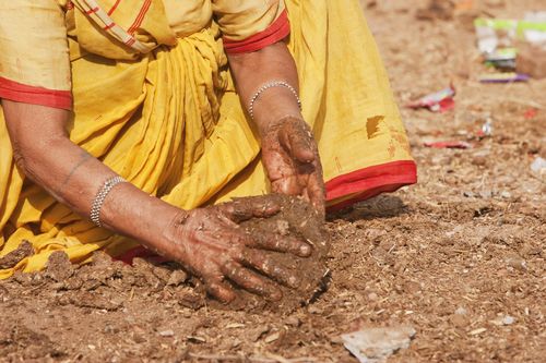 India cow poo