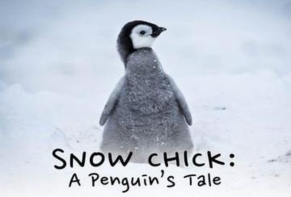 Snow Chick: A Penguin's Tale