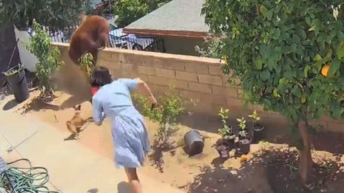 US teenage girl fights off mother bear to protect her pet dogs