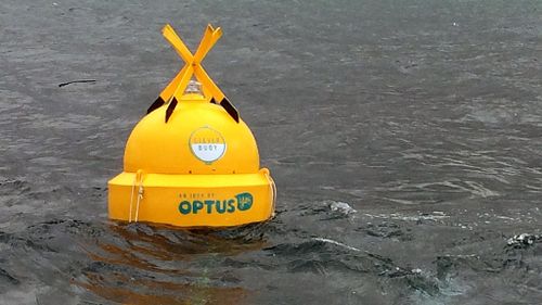 New shark detection buoys to be trialled off of Port Stephens