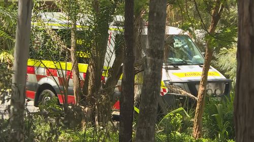 Ambulance responds to kangaroo attack at Lake Innes, NSW.