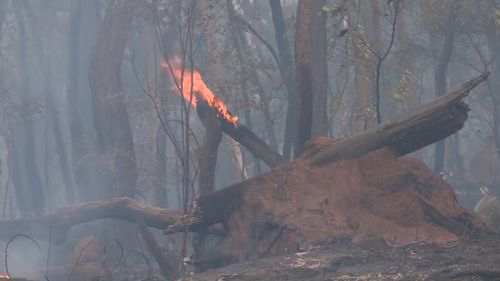 Residents near Irvinebank in North Queensland have been urged to evacuate their homes.