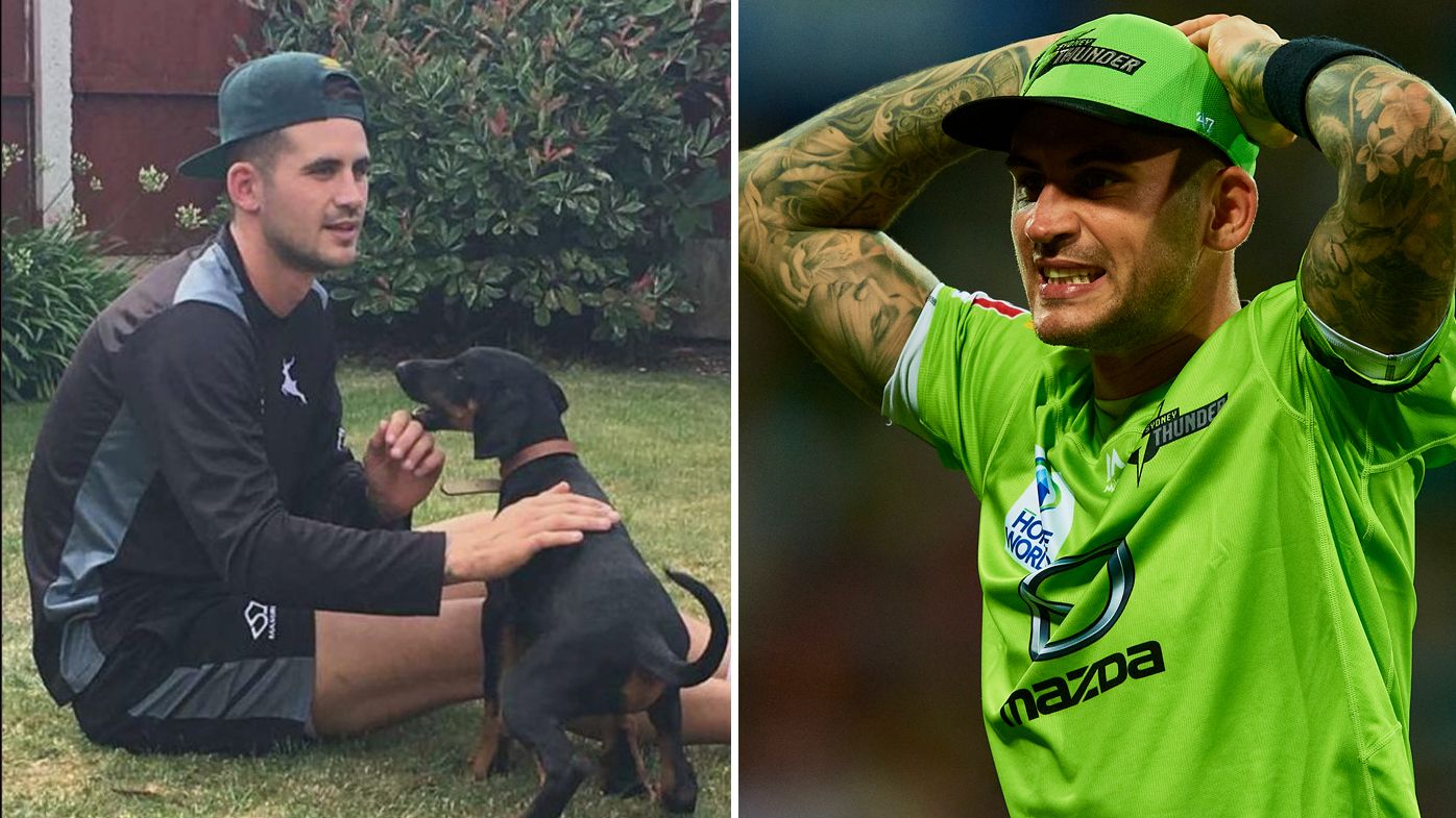 Alex Hales with his dog, Kevin, and in action for the Sydney Thunder.