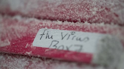 A frozen box of flu virus, used to create vaccines. Photo: AP