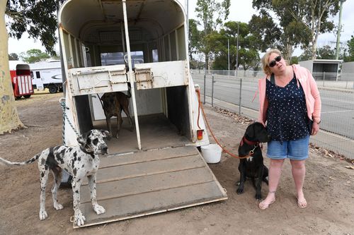 Bushfires Australia: What to do with pets if you need to evacuate