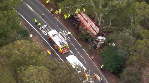 A rescue operation is underway to free the cows trapped in the wreckage.