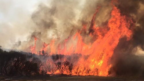 An earlier image of the Esperance bushfire. (9NEWS)