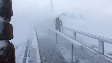 Walkers &#x27;lucky&#x27; to be rescued from Tasmanian mountain in blizzards