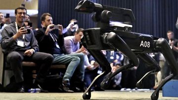 A Boston Dynamics SpotMini robot is walks through a conference room during a robotics summit in Boston. 