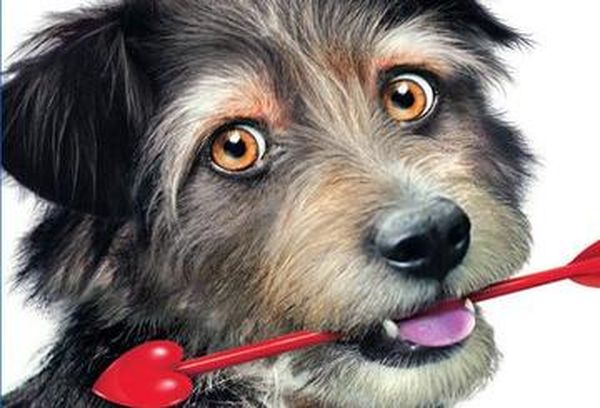 Gabe the Cupid Dog