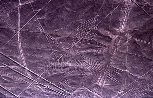 The Nazca Lines in Peru includes the etching of this bird-like creature in the desert.