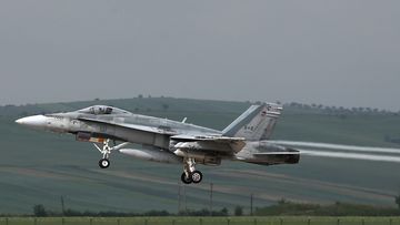 A Canadian Royal Air Force F-18 Hornet. (AFP)