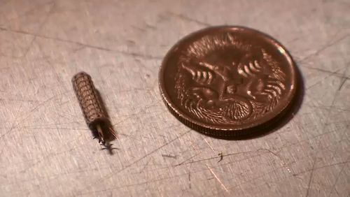 A heart implant the size of a grain of rice is being used for the first time in Australia.