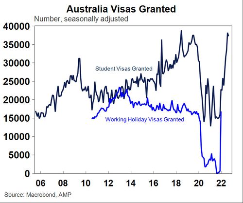 Graph showing student and working holiday visas granted.