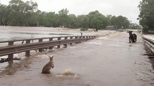 Callum Lamond said the main bridge at Fitzroy Crossing has 'buckled'. 