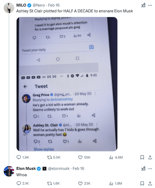 Elon Musk's reply to a tweet about St Clair's claims.