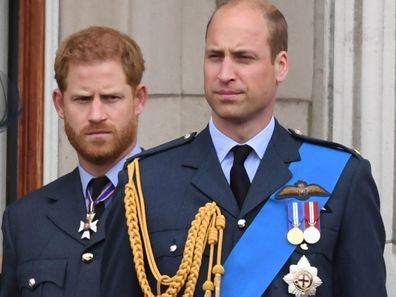 Prince Harry Prince William 1