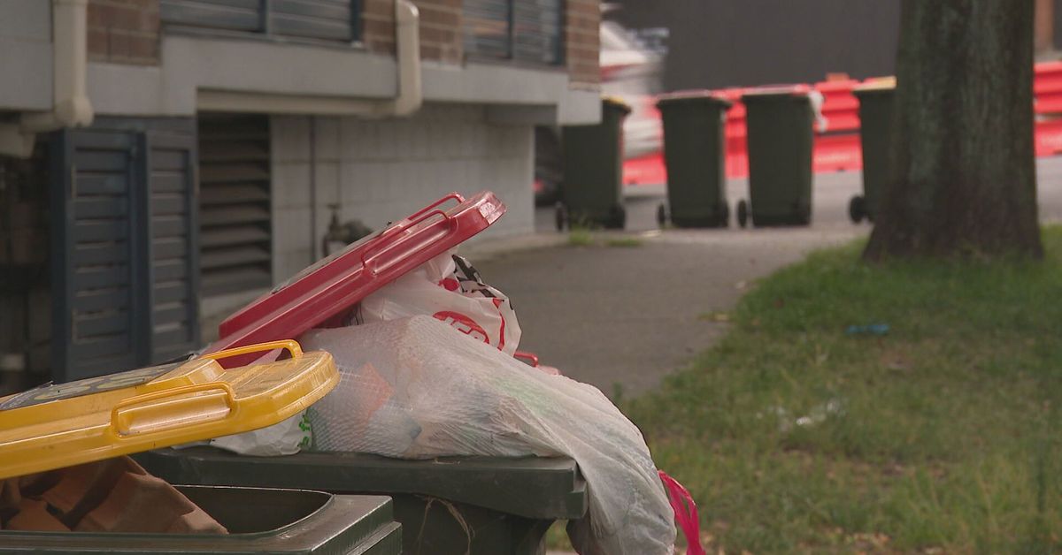 Around 24000 bins in Sydney won’t be collected today amid strike action over pay – 9News