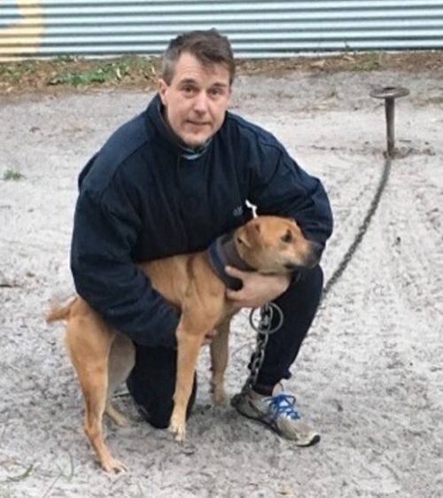 Benn Hamilton has been sentenced to seven months' jail over organised dog fighting and issued an order that prohibits him from ever owning pets in the future. Picture: Instagram.
