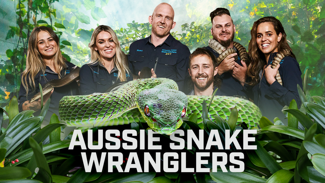 Watch Aussie Snake Wranglers Season 1, Catch Up TV