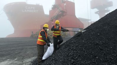 China coal imports