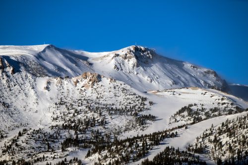 Snow continues falling with storm totals nearly a metre in Mammoth Mountain in Mammoth Lakes, California. 