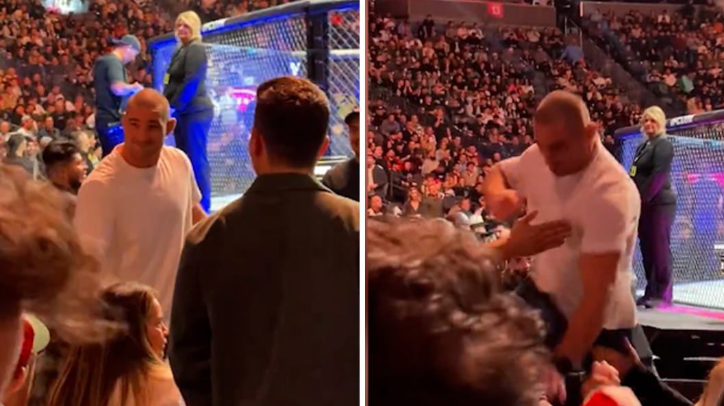 Sean Strickland AND Dricus du Plessis brawl in the crowd at UFC 296.