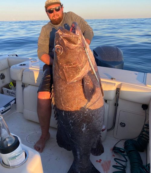 A Brisbane fisherman has had the catch of a lifetime over the weekend, catching a giant 175cm-long bass grouper just 40km off Point Lookout on North Stradbroke Island.