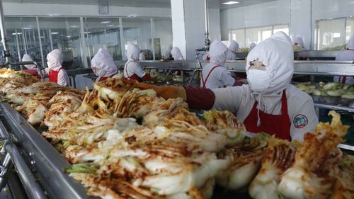 A kimchi factory in Pyongyang, North Korea.