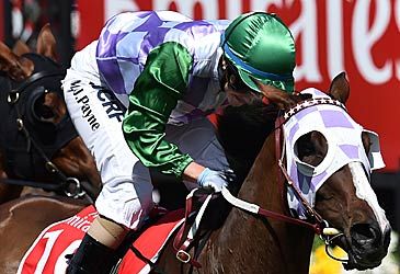 Which horse did Michelle Payne ride to victory in the 2015 Melbourne Cup?