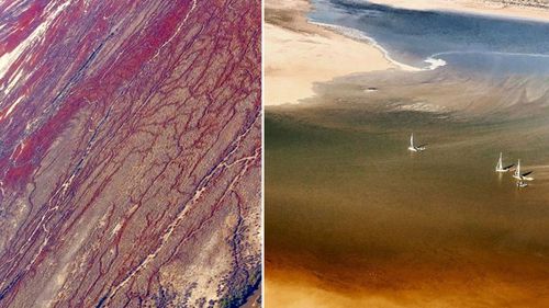 Trevor Wright, who operates an air service and the local pub, shared images from the transformed Lake Eyre this week.