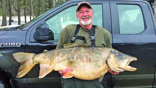 US man cracks 60-year-old record with 17kg trout