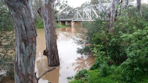 The Goulburn river, located in the small village of Murchison, is one of the many Victorian rivers left swollen by recent rains. (Facebook/Murchison SES – Victoria State Emergency Service)