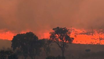 ﻿Wallangarra in Queensland bushfire October 31