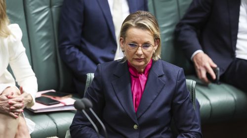 Muhalefet lideri Sussan Ley, Canberra'da.