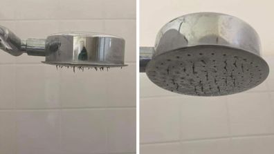 Shower head plumbing cleaning
