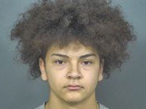Aaron Trejo, 16, from Indianapolis, was charged on Monday with murder and feticide in the death of Breana Rouhselang on Saturday.

