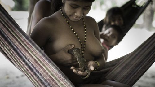 The tribe reportedly treat animals like family members, women even breast feeding squirrels and monkeys until they're full grown. (Domenico Pugliese/Survival International)