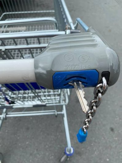 Woman's ALDI coin trolley hack goes viral.