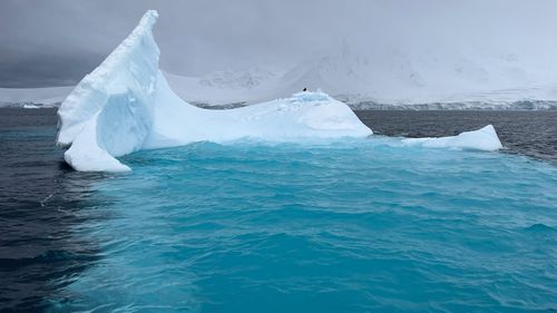 Emily Cunningham spent six months in Antarctica with her partner. 